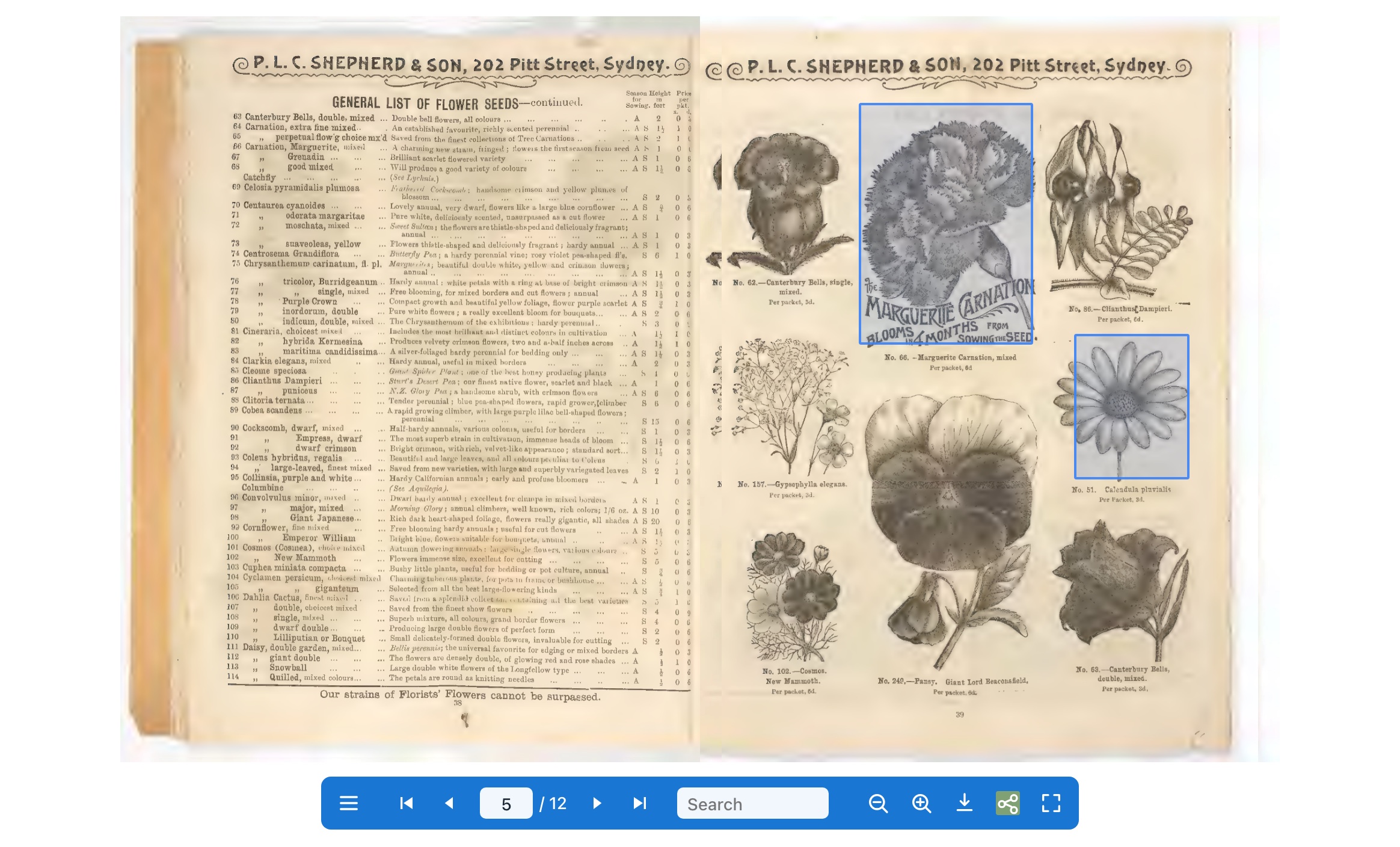 The same spread with two hotspots outlined, one over an engraving of a carnation and one over a calendula, each with its price printed beneath